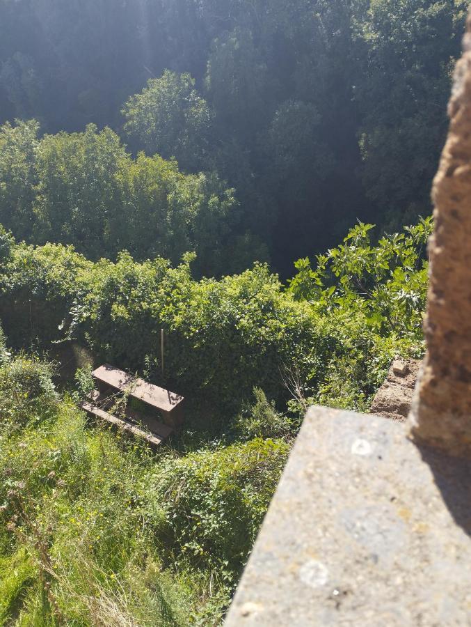 Apartamento Antica Dimora Barbarano Romano Exterior foto